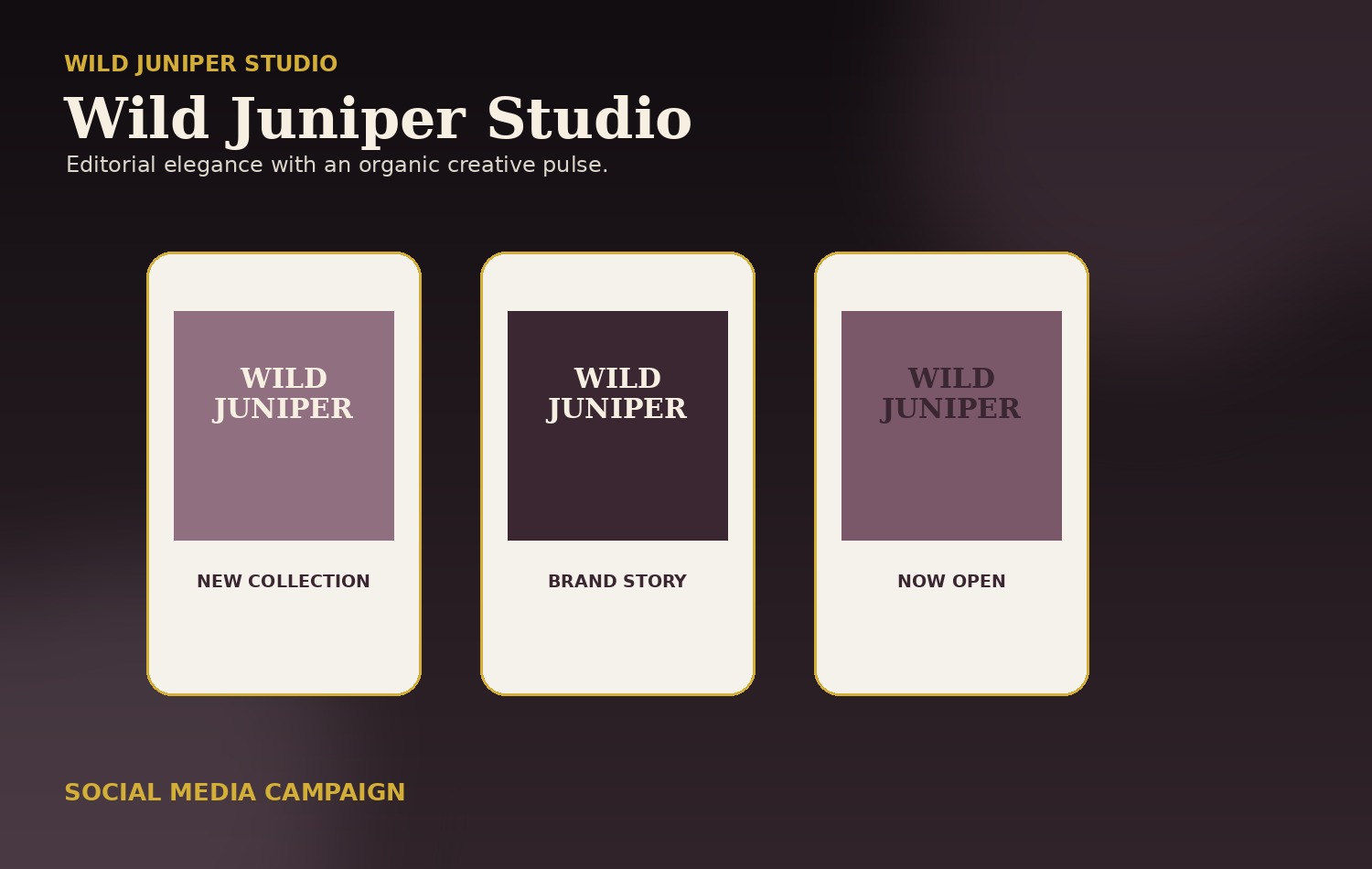 Wild Juniper Studio Social Campaign